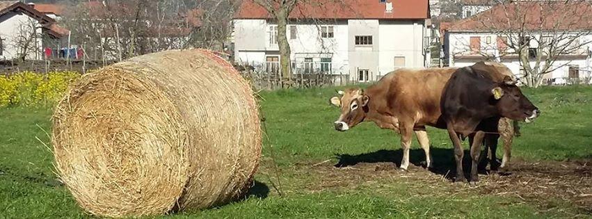 アジェーロラ Agriturismo Sentiero Dei Saporiゲストハウス エクステリア 写真