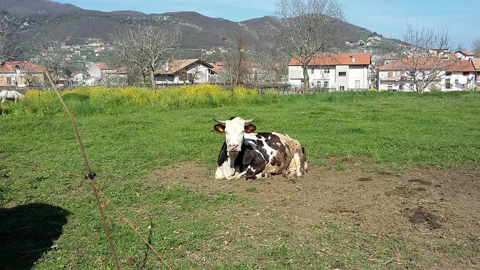 アジェーロラ Agriturismo Sentiero Dei Saporiゲストハウス エクステリア 写真