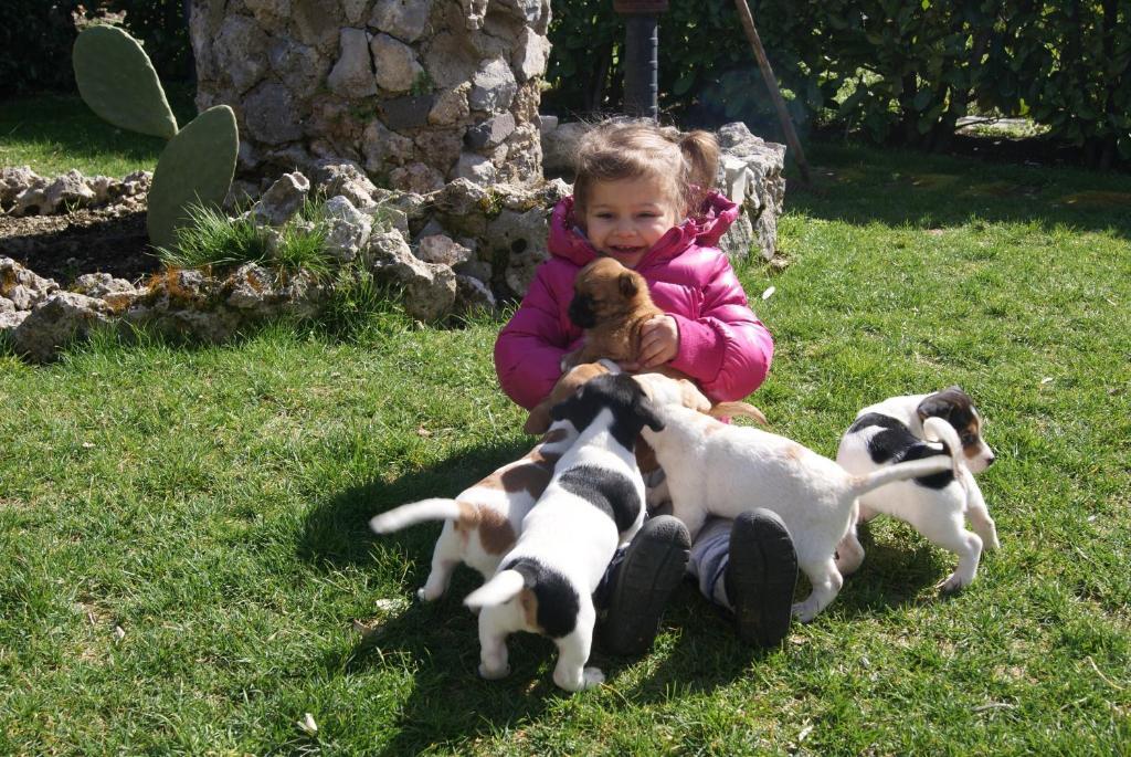 アジェーロラ Agriturismo Sentiero Dei Saporiゲストハウス エクステリア 写真