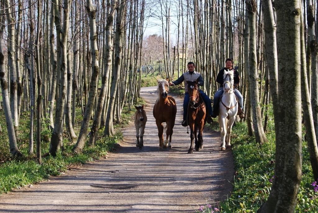 アジェーロラ Agriturismo Sentiero Dei Saporiゲストハウス エクステリア 写真
